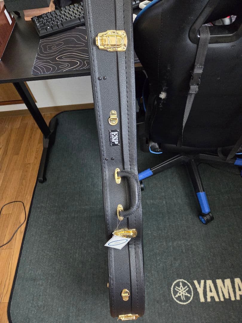 【美品】ESP EDWARDS E-TORROCCO-CTM セミアコ