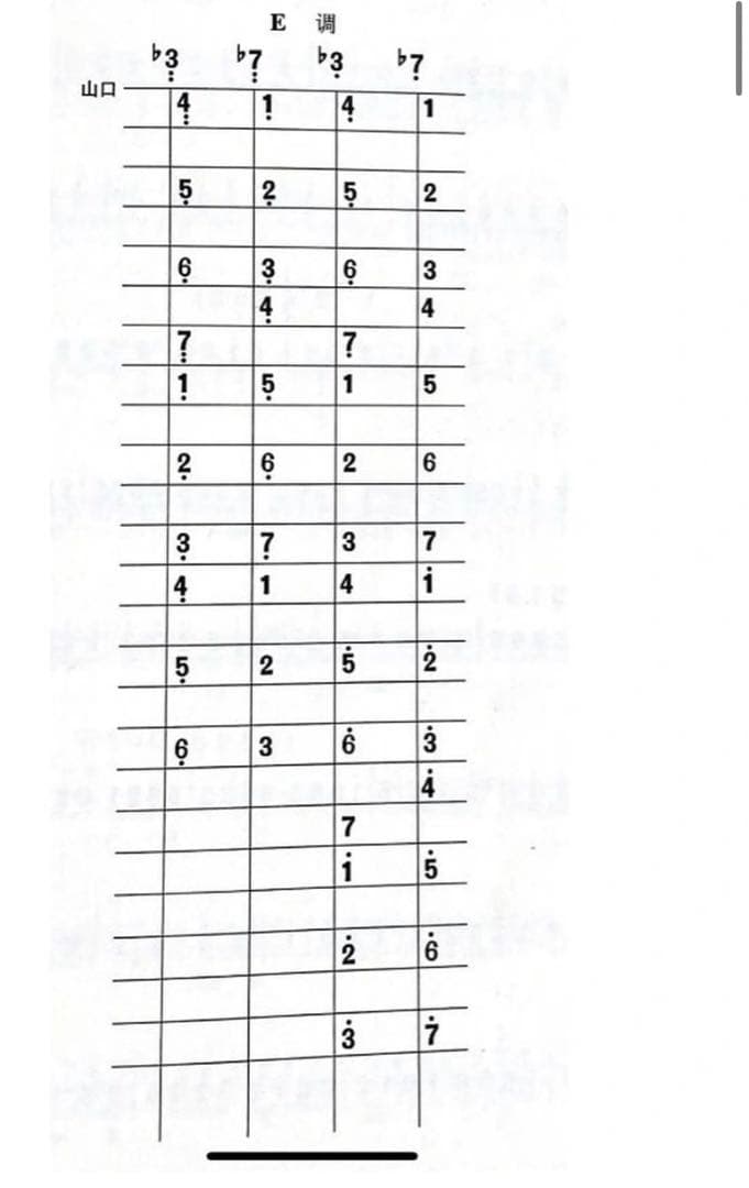 中国の民族楽器中阮 中元