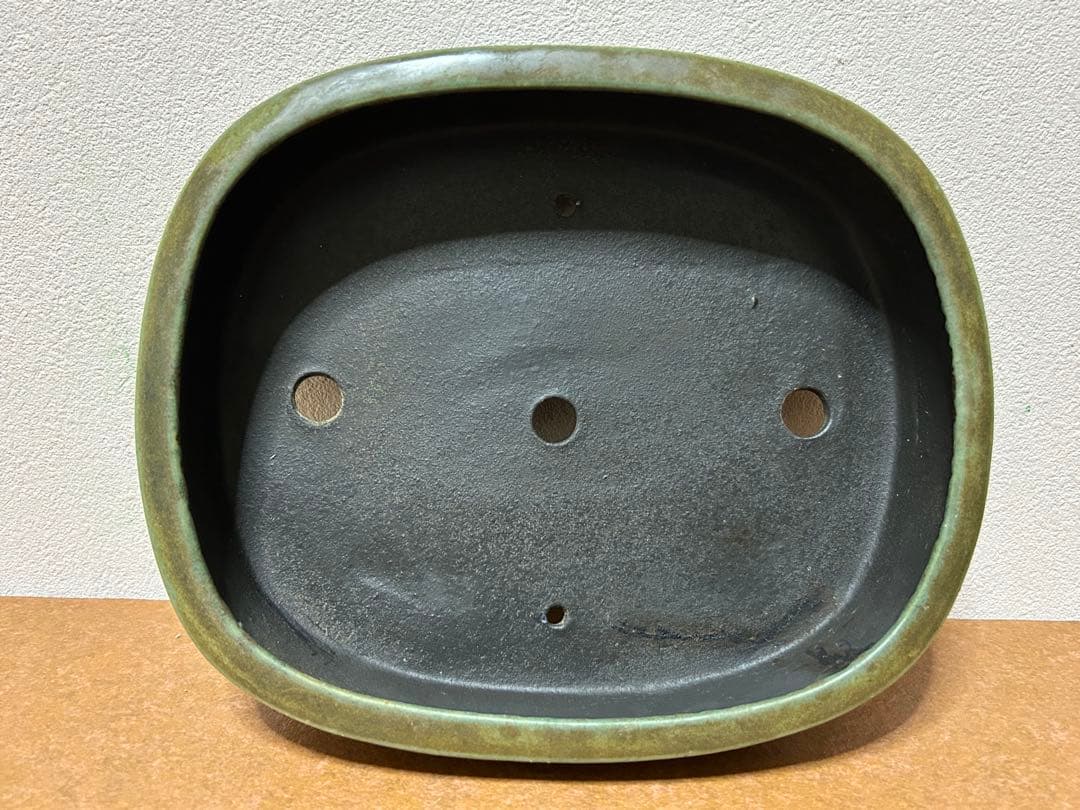 鴻陽　盆栽鉢　小品盆栽　山野草