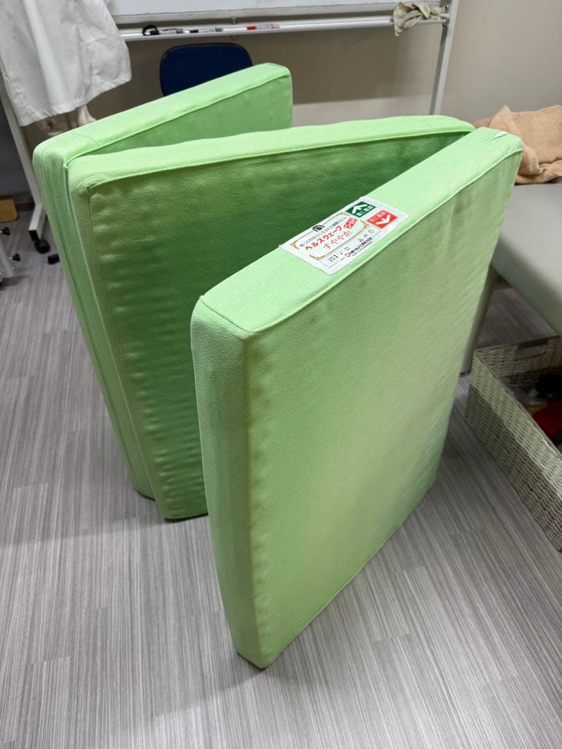 ヘルスウェーブゴールド ジュニア ヘルスウェーブシリーズ - カイロプラクティックのリーディング