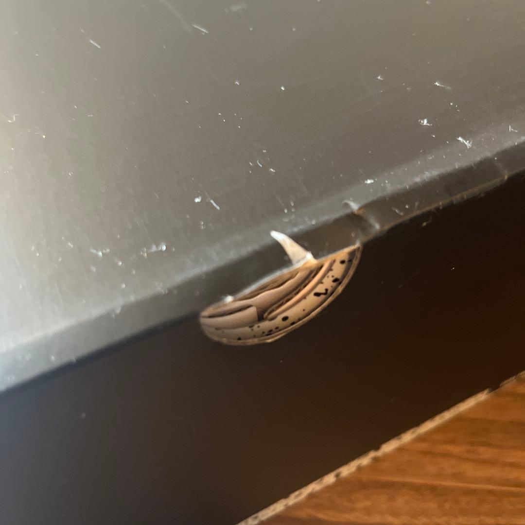 NIKE Air Jordan5 パリサンジェルマン 27.5cm