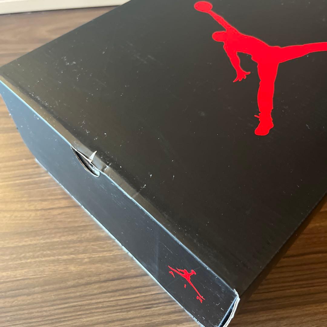 NIKE Air Jordan5 パリサンジェルマン 27.5cm