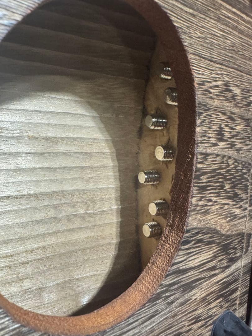 ゼンオン 文化箏 文化琴 13弦 楽器 和楽器 ソフトケース付