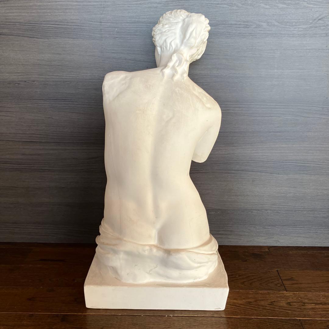 石膏像　ミロのヴィーナス　半身像