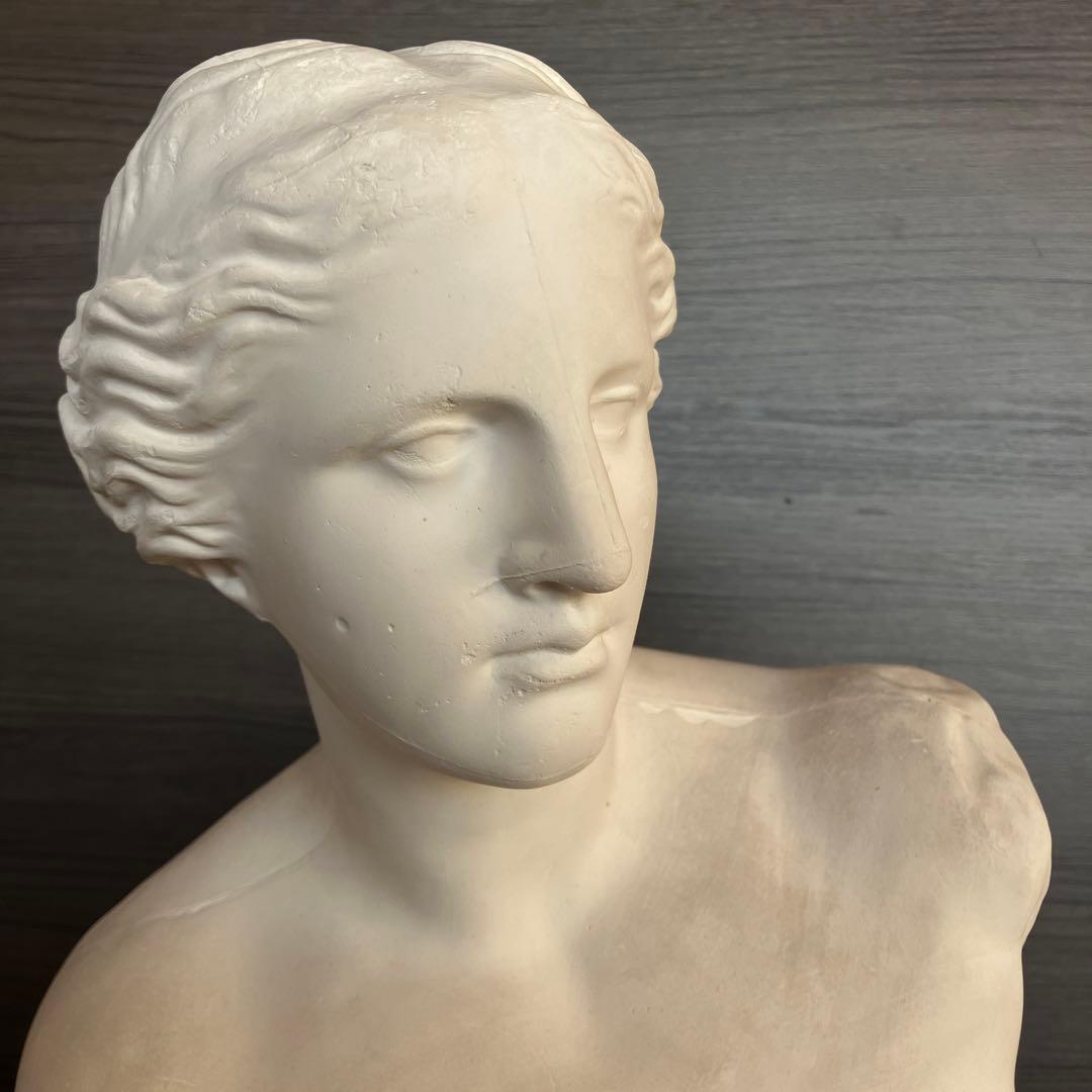 石膏像　ミロのヴィーナス　半身像