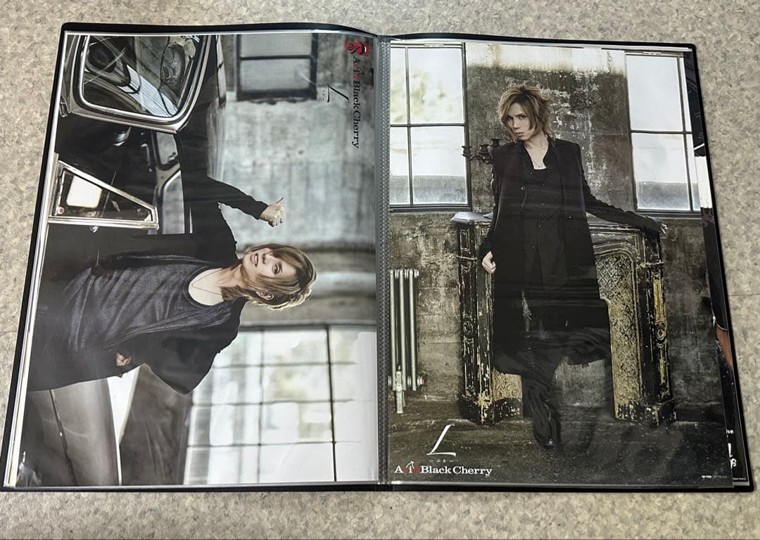 Acid Black Cherry ポスター　35種セット