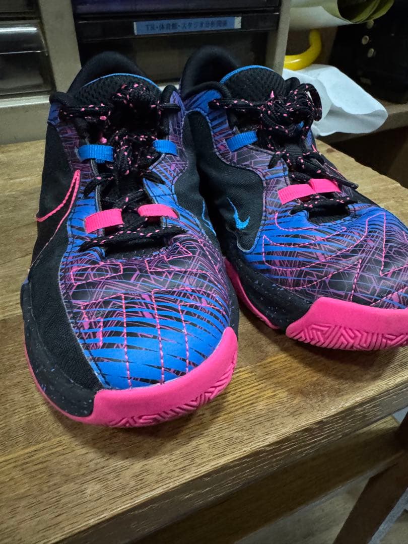 バスケットシューズ バッシュ フリーク Nike ZoomFreak5 美品