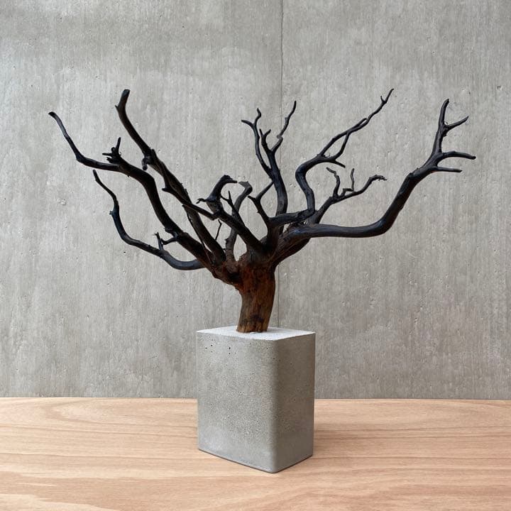 コンクリート盆栽 流木 木 オブジェ インテリア アート アクセサリー