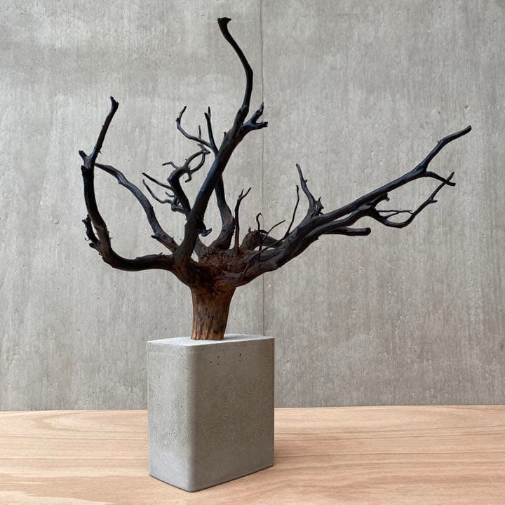 コンクリート盆栽 流木 木 オブジェ インテリア アート アクセサリー