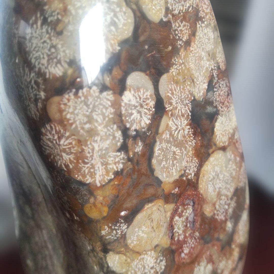 花紋石　青森県深浦町産　４０６０g　管理No.71105