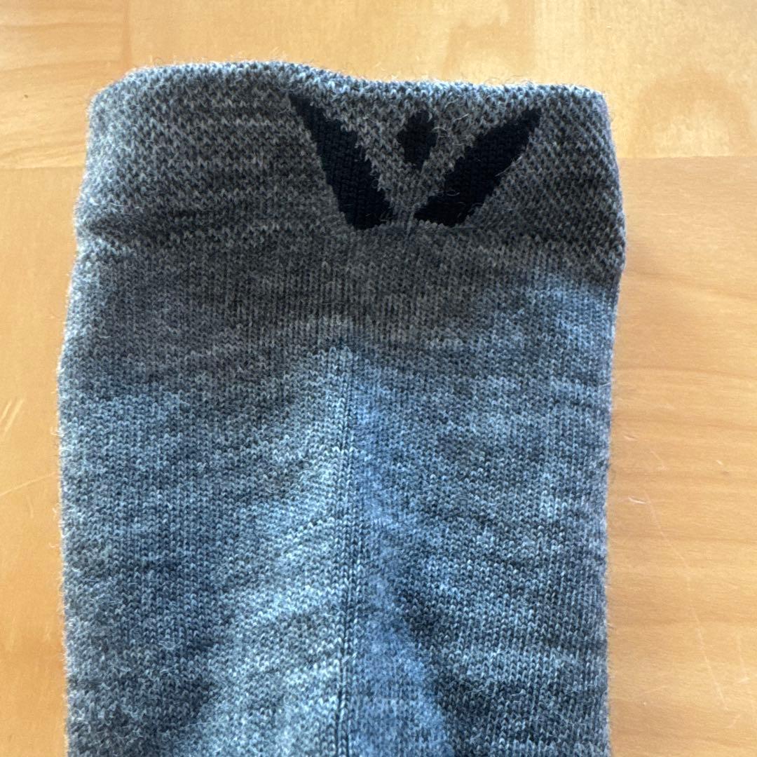 スウィストウィック　Swiftwick Flite XT Trail 2足