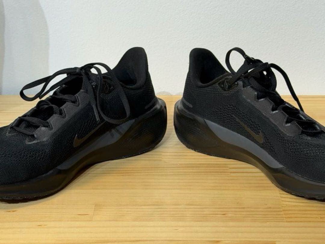 ナイキ NIKE AIR ZOOM PEGASUS 41 ペガサス26.5cm