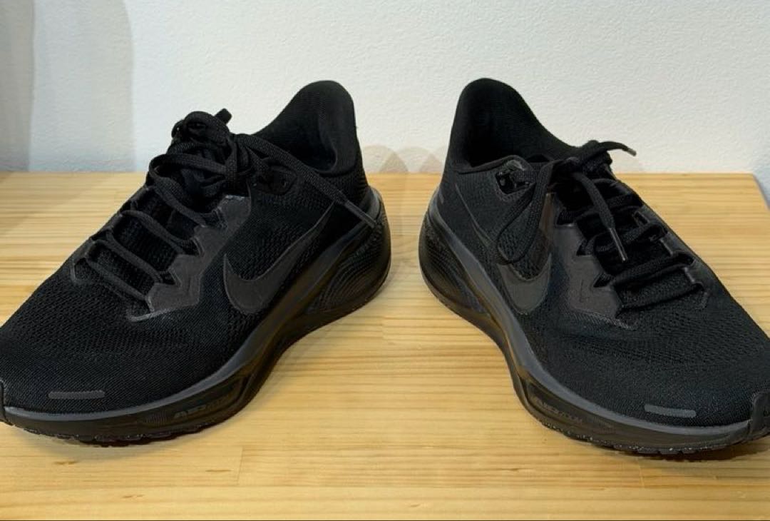 ナイキ NIKE AIR ZOOM PEGASUS 41 ペガサス26.5cm