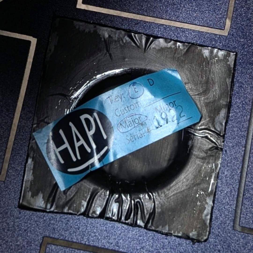 極美品ハンドパン HAPI Drum Eメジャー HOSCO HAPI-E1-B