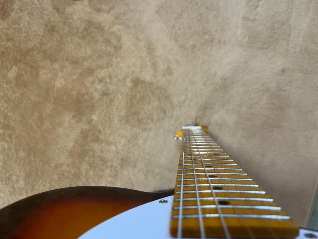 ダイナマン様専用）ドナー シンライン ホロウボディ bigsbyタイプ