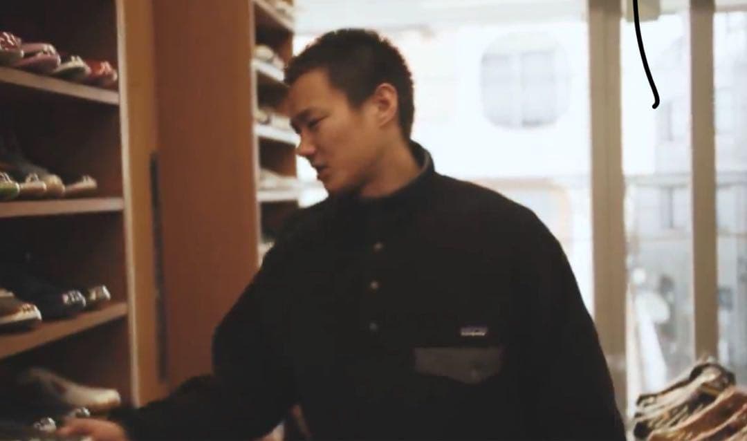 肉厚 L 極美品 野村周平 Patagonia シンチラ パタゴニア スナップT