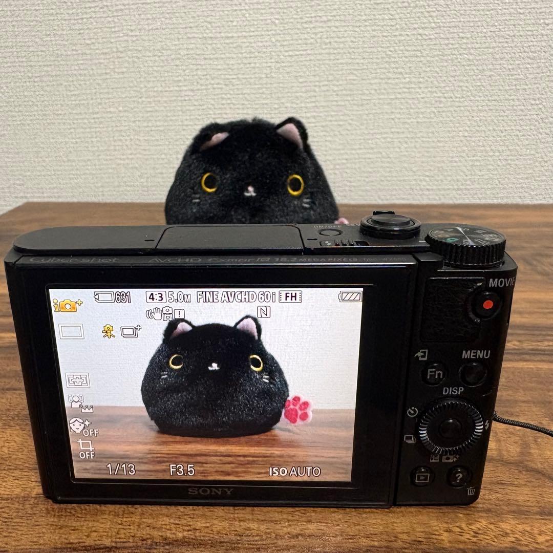 SONY Cyber-shot DSC-WX500 コンデジ 作例あり