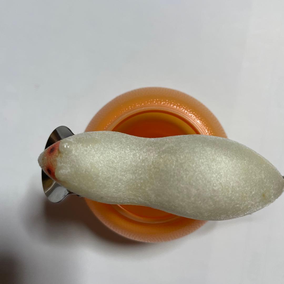 ヘドン メドウマウス heddon meadow mouse 未使用品 - メルカリ