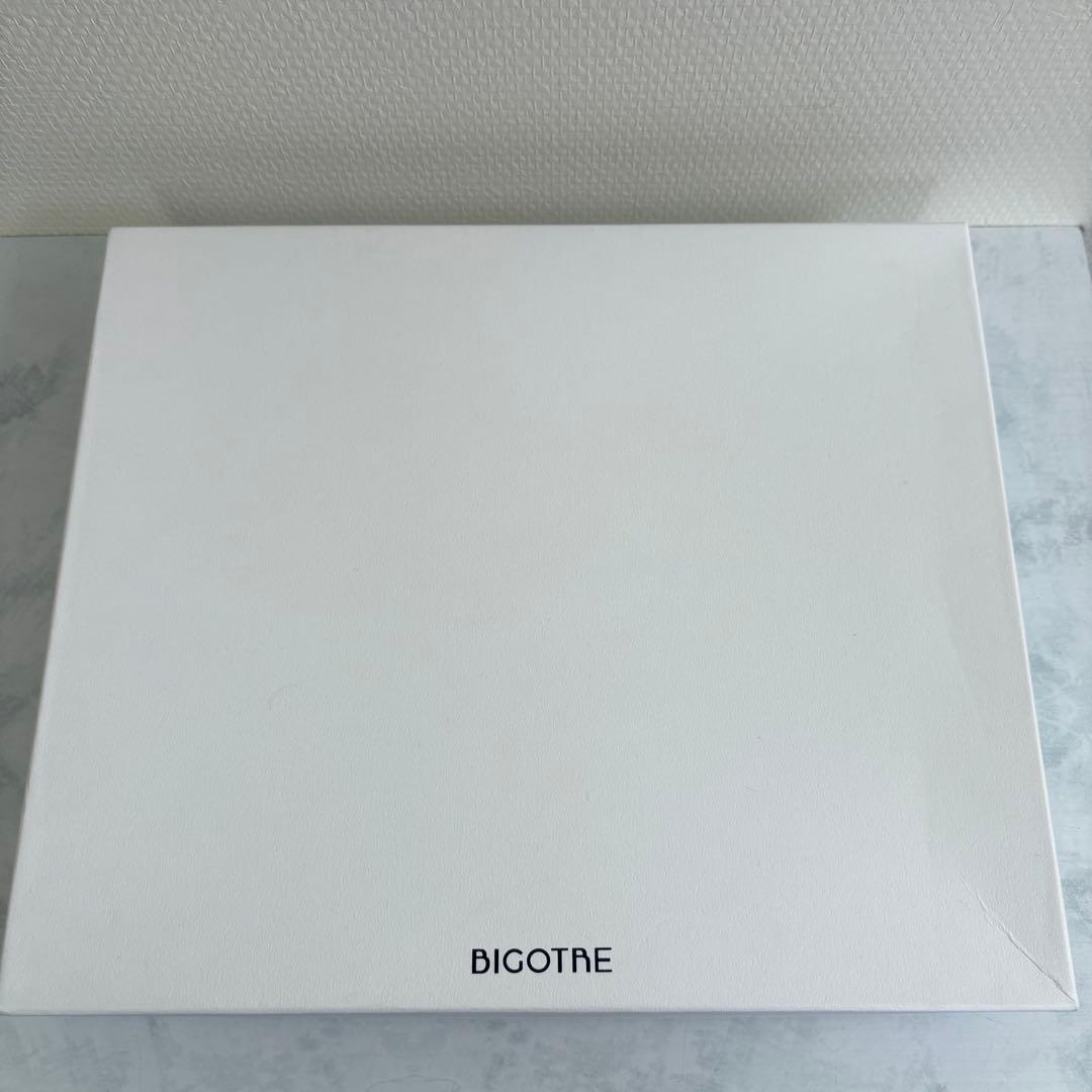 【箱付き】　BIGOTRE PURSE L MINI ショルダーバッグ