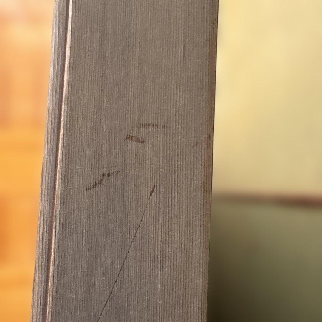 絵画　月下美人　　⚠️素人画