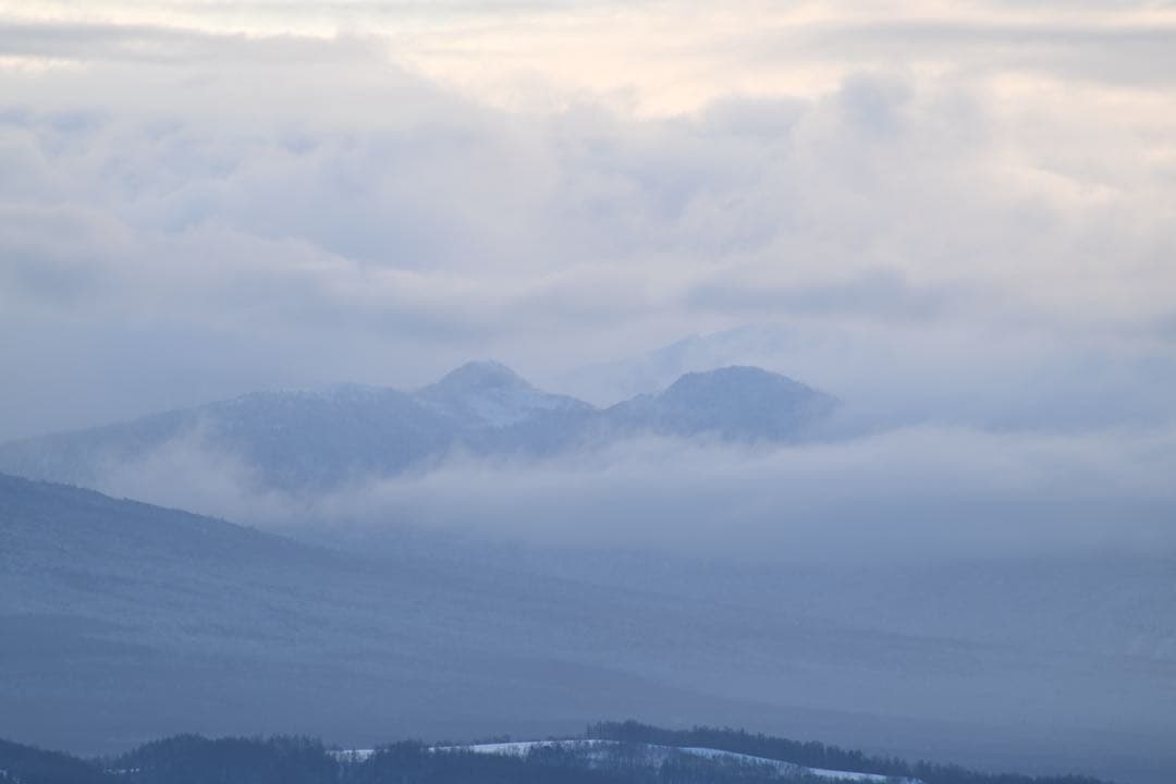 レンズ(単焦点) CONTAX CARL ZEISS Tele-Tessar 300mm F4