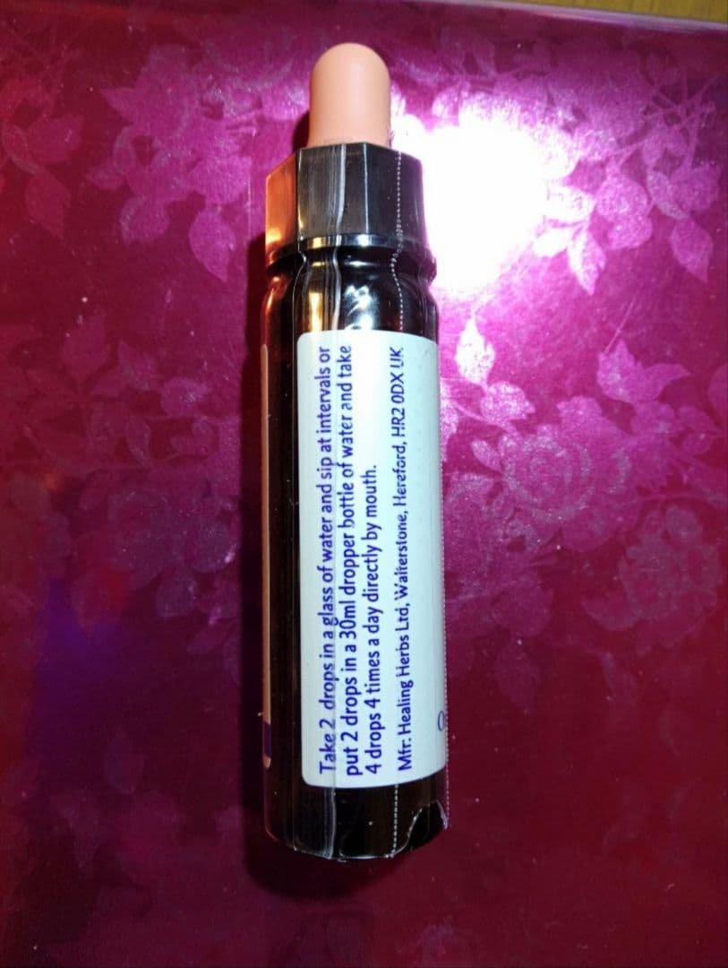 ことり様■ ビーチ ミムラス マスタード スターオブベツレヘム ワイルドオート