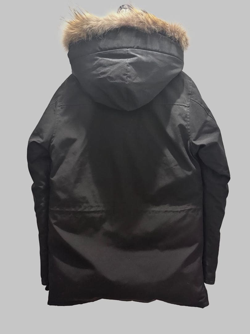 希少モデル：  BANCROFT（バンクロフト）