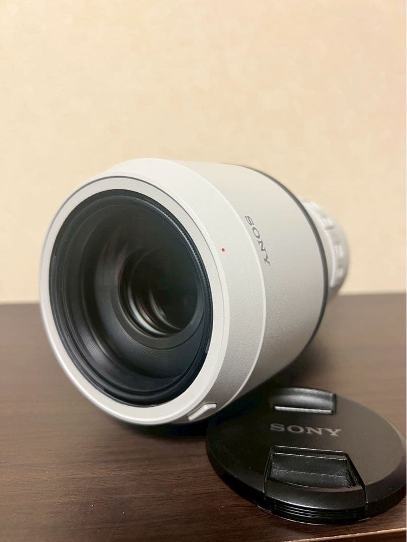 【美品】 SONY FE 100-400mm F4.5-5.6 GM OSS