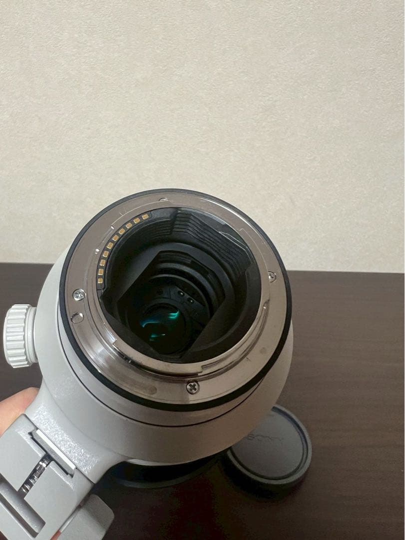 【美品】 SONY FE 100-400mm F4.5-5.6 GM OSS