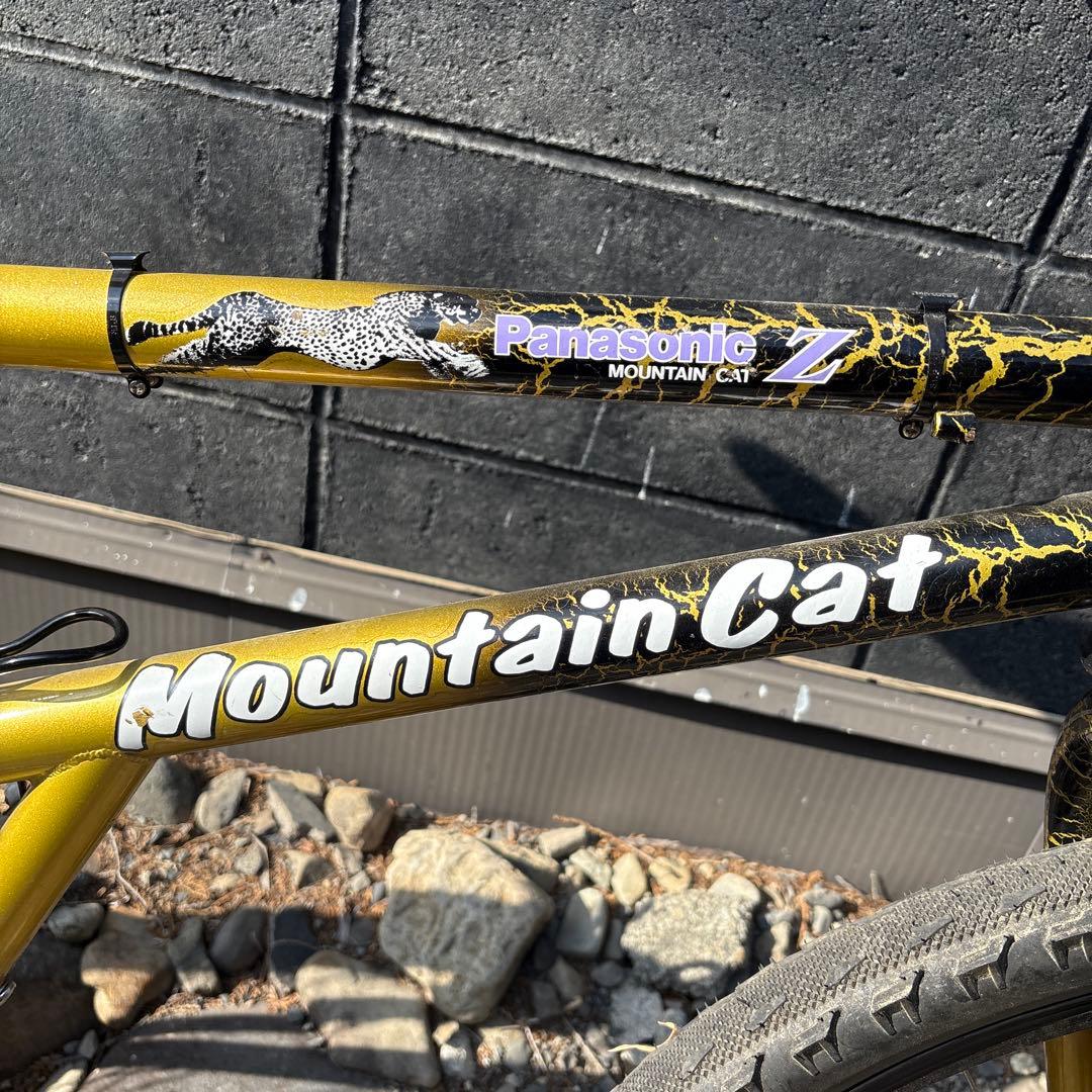 Panasonic Mountain Cat Z フレームのみ OLD MTB - メルカリ