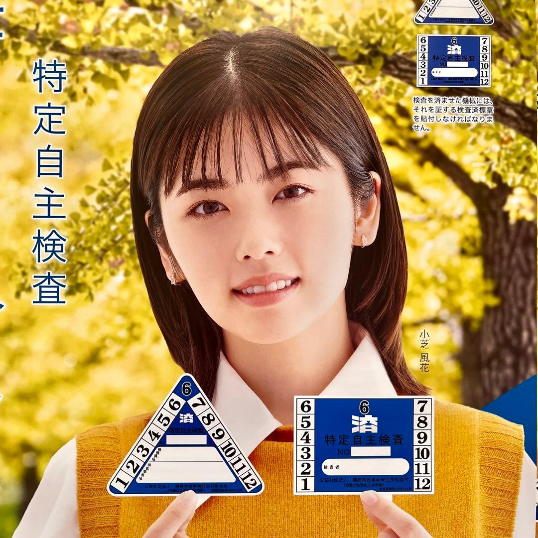 小芝風花さん 特自検 特大ポスター 2枚 B2サイズ 非売品 - メルカリ