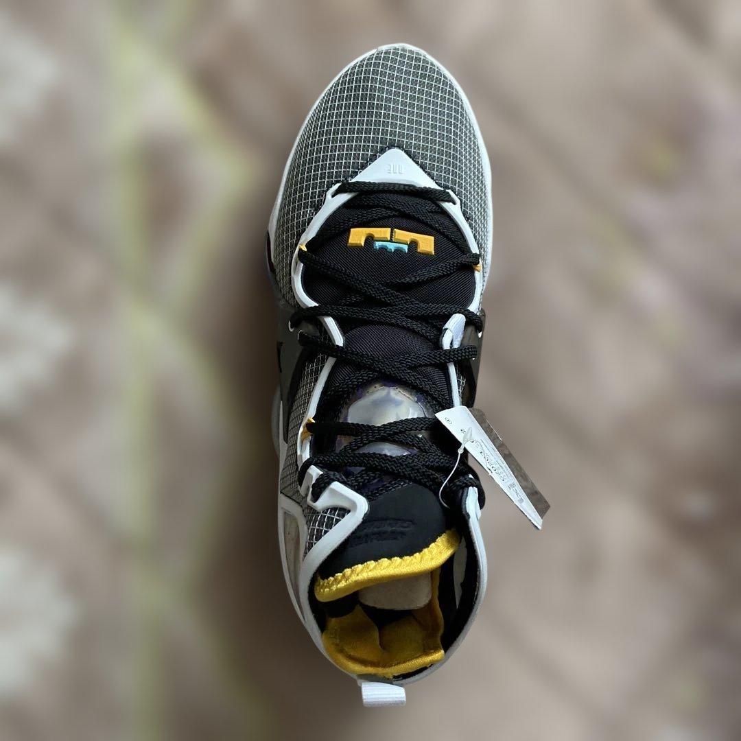 シューズ(男性用) Nike LeBron 19 \"Graduate\"29cm