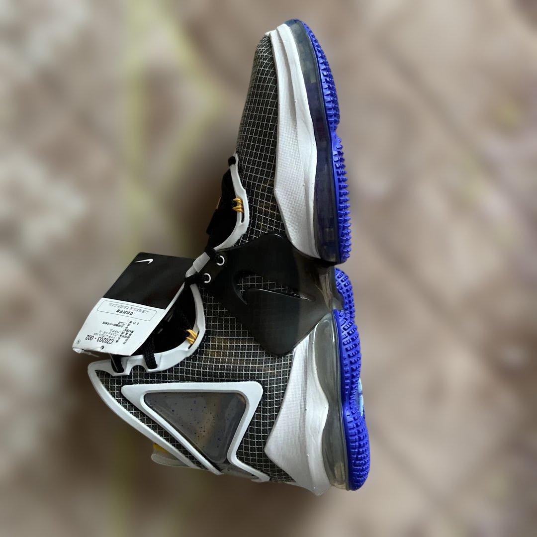 シューズ(男性用) Nike LeBron 19 \"Graduate\"29cm