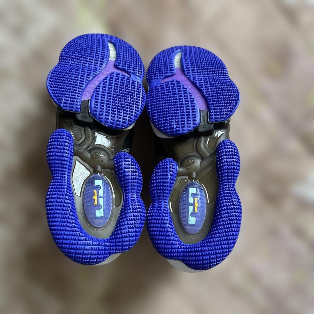 シューズ(男性用) Nike LeBron 19 \"Graduate\"29cm