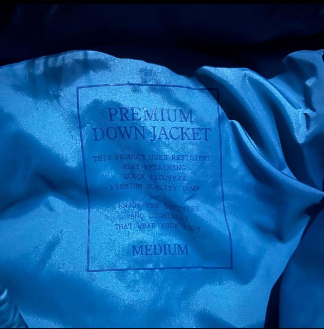希少色✨Y2K 00s OLD UNIQLO プレミアムダウン 光沢 肉厚 M