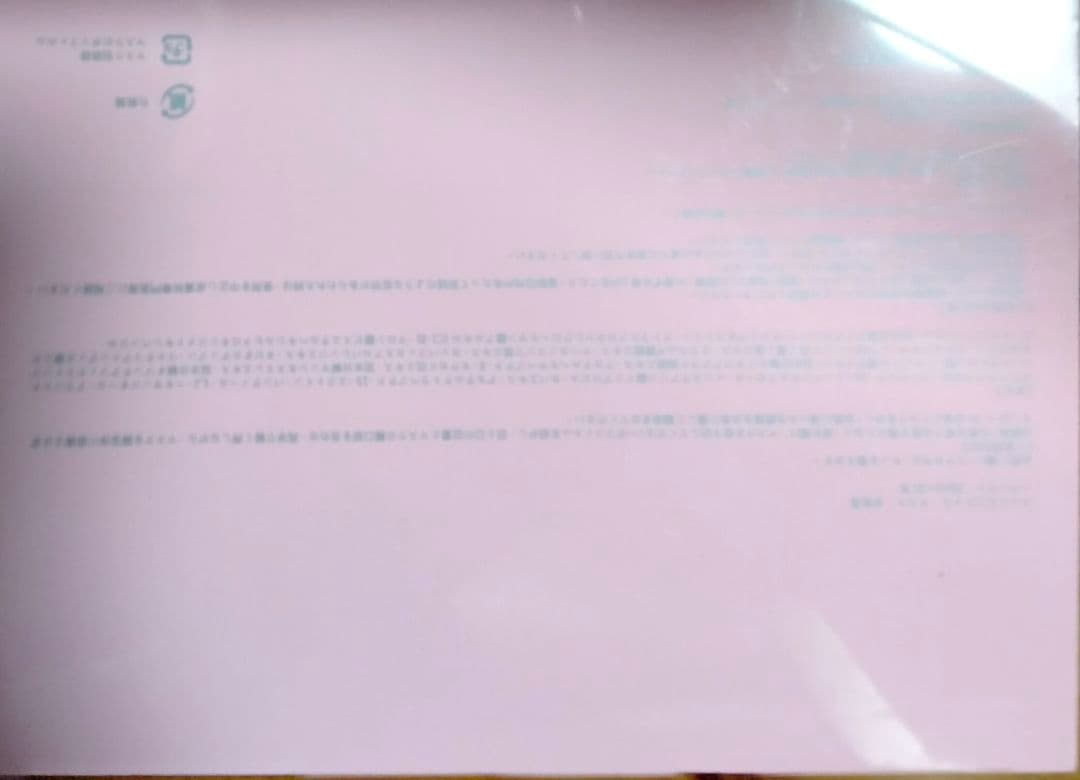 1箱リーウエイ正規未開封シートマスク ピンクボックス