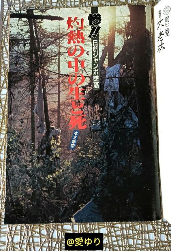 ♢日航ジャンボ機墜落事件❄️関連誌全5冊⭐御巣鷹山⭐事故