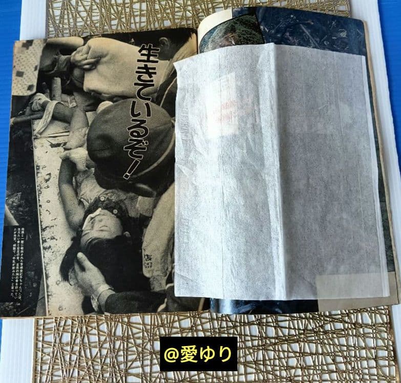 ♢日航ジャンボ機墜落事件❄️関連誌全5冊⭐御巣鷹山⭐事故