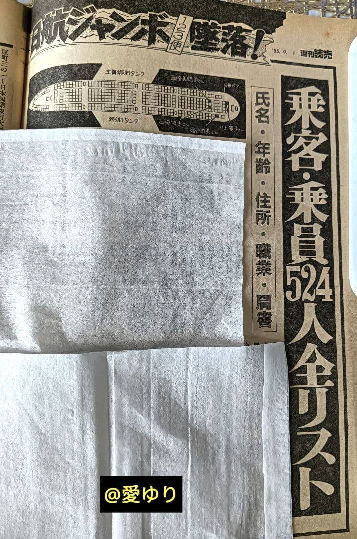 ♢日航ジャンボ機墜落事件❄️関連誌全5冊⭐御巣鷹山⭐事故