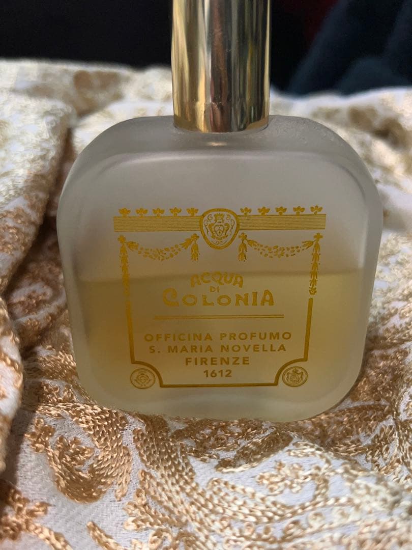 サンタマリアノヴェラ Verbena バーベナ