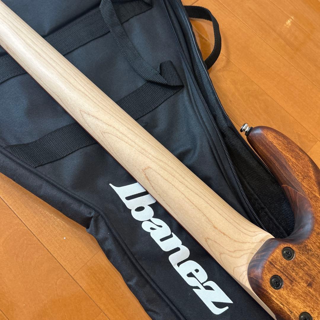 GIO Ibanez 5弦ベース エレキ　GSR105EX 初心者向け　ケース付