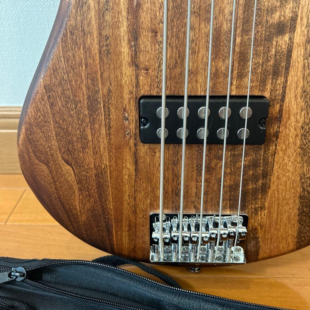 GIO Ibanez 5弦ベース エレキ　GSR105EX 初心者向け　ケース付