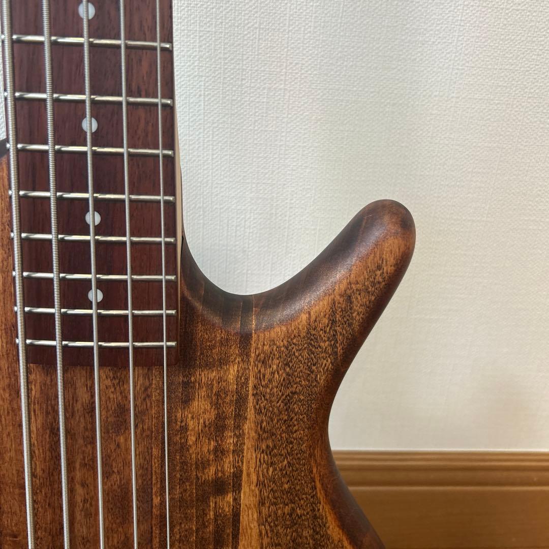 GIO Ibanez 5弦ベース エレキ　GSR105EX 初心者向け　ケース付