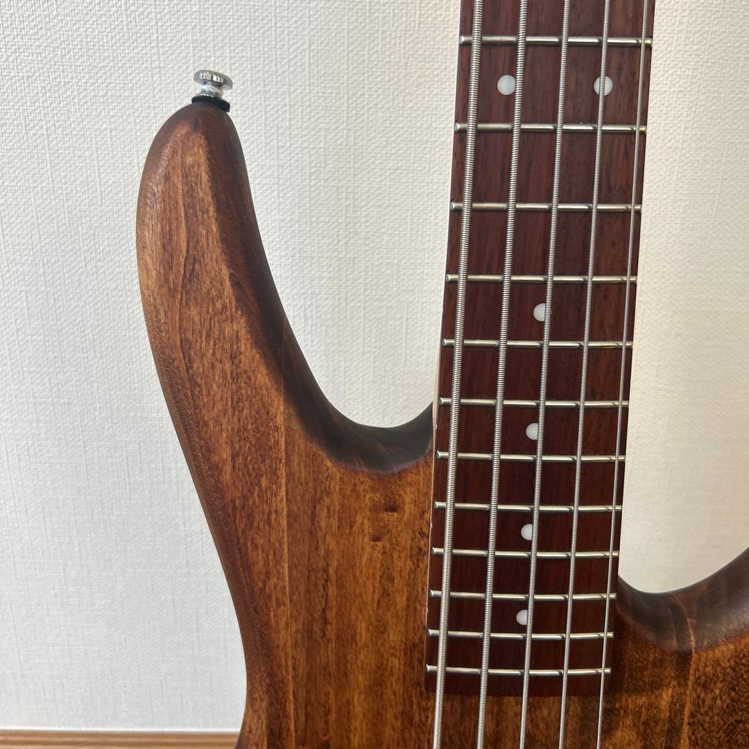 GIO Ibanez 5弦ベース エレキ　GSR105EX 初心者向け　ケース付