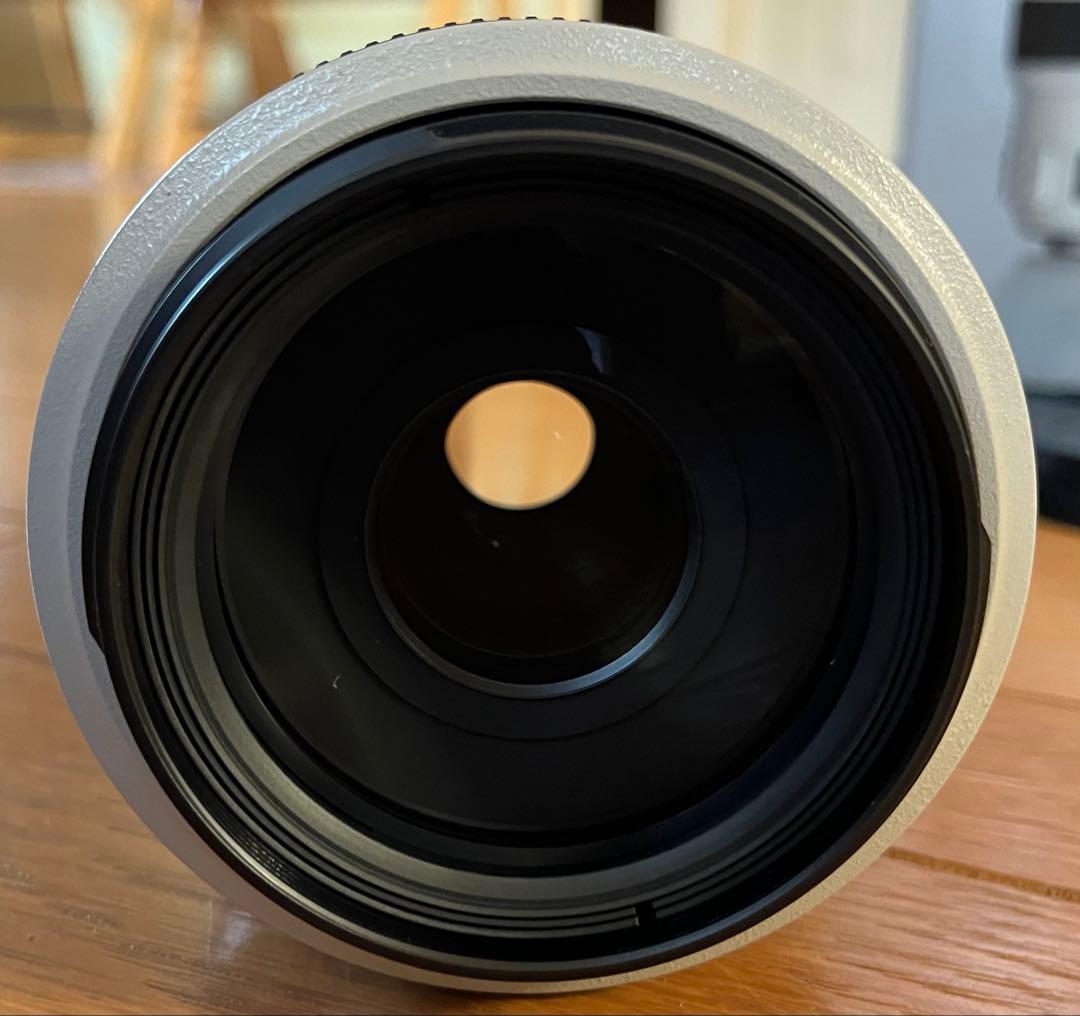 Canon EF 70-300mm f/4-5.6L IS USM ズームレンズ