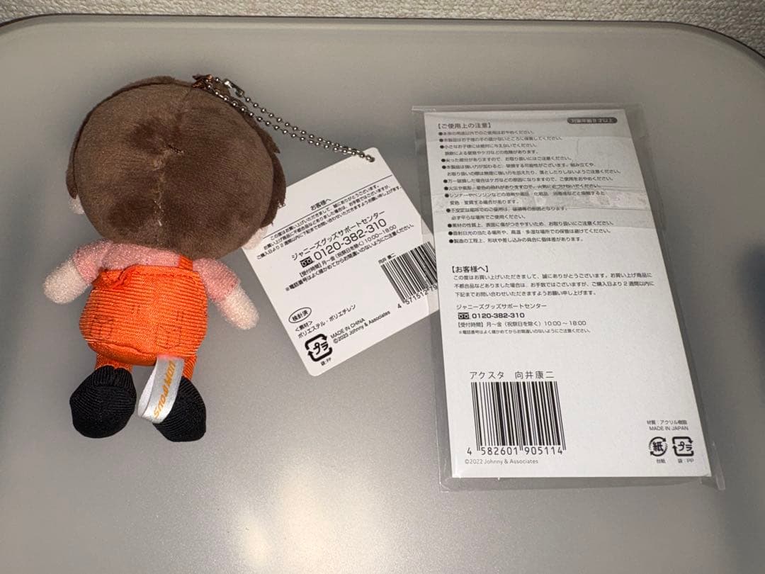  Man 向井康二　すのチル　アクスタ　ましかくフォト　グッズセット