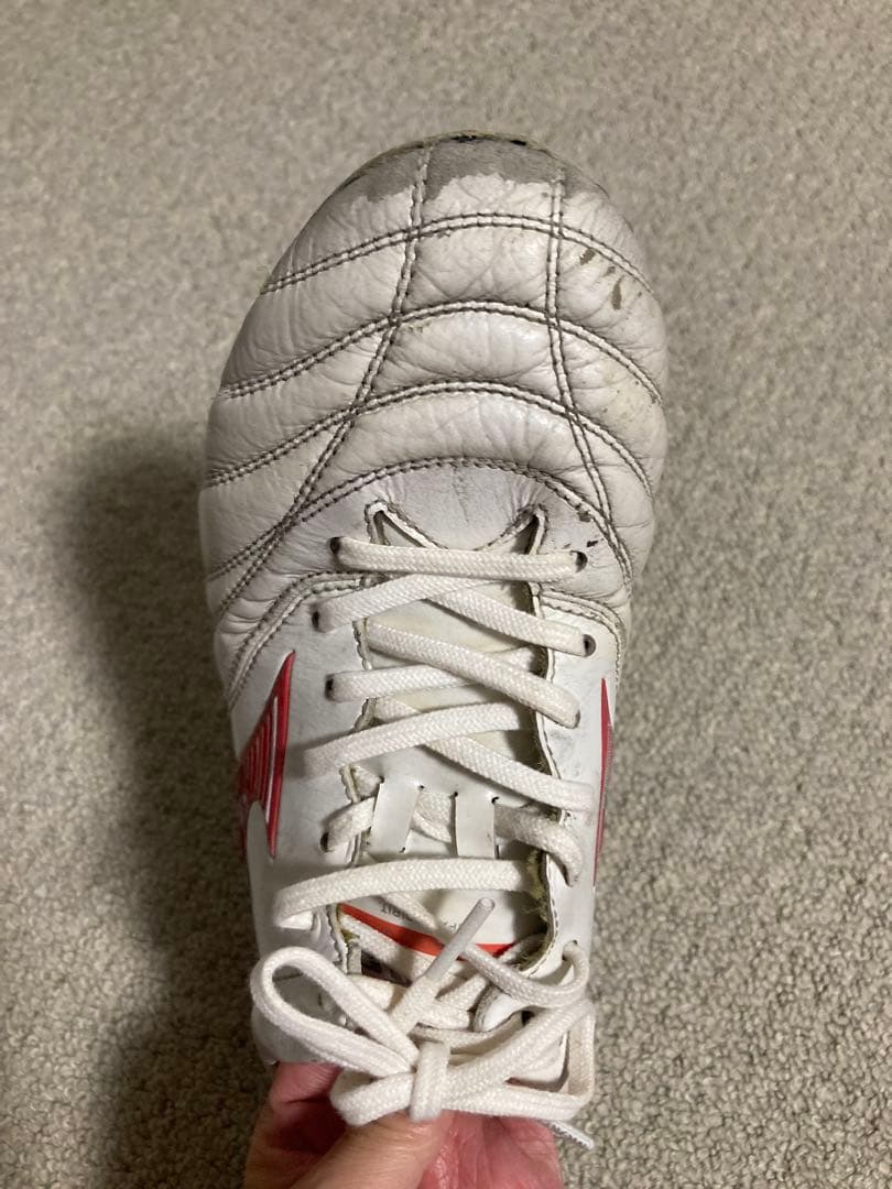 限定色　モレリアネオ4 JAPAN 25.0cm ミズノ