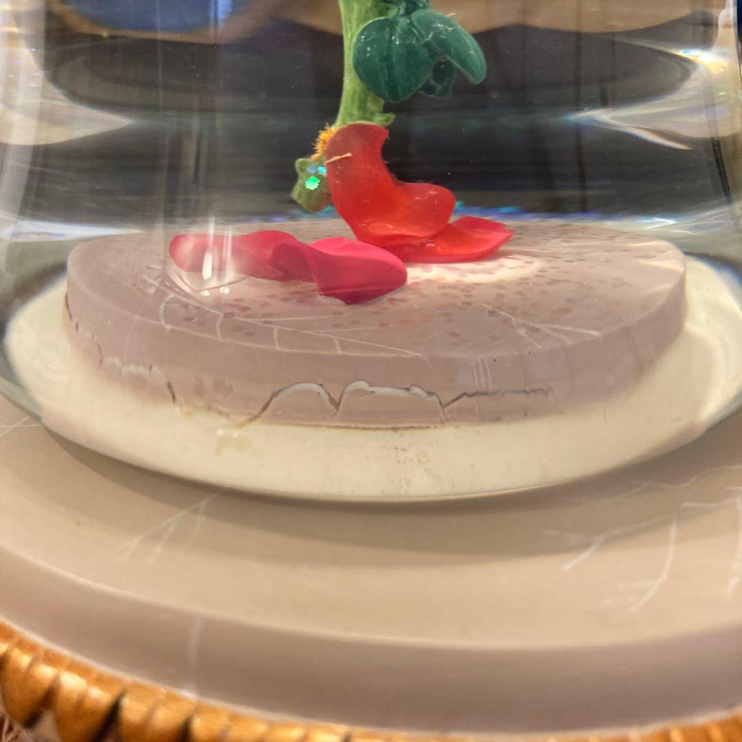 ディズニー　スノーグローブ美女と野獣