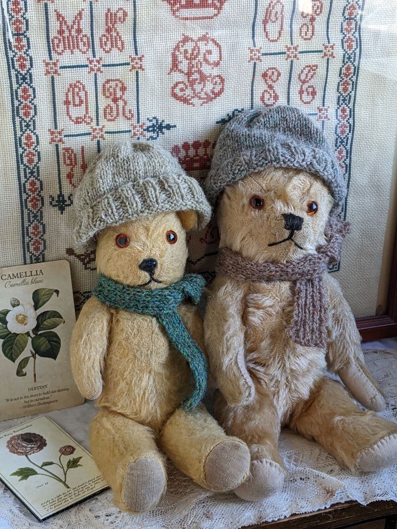 【n】アンティークベア　アンティークテディベア　イギリス　ペディグリー