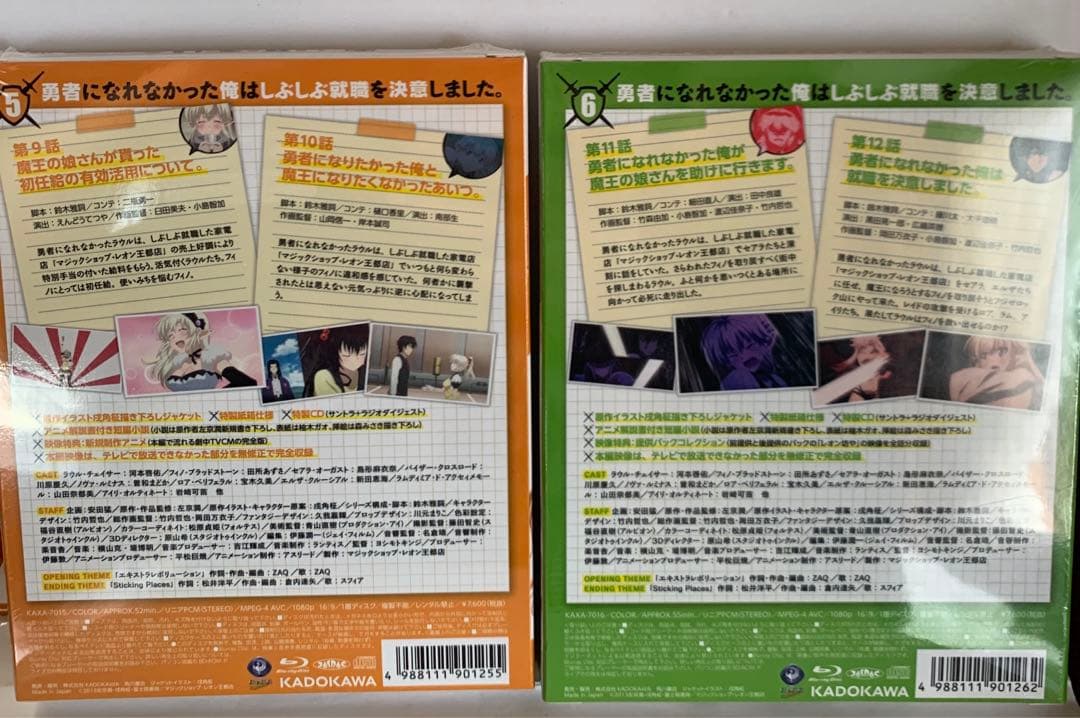 勇者になれなかった俺はしぶしぶ就職を決意しました。 〈限定版〉6巻